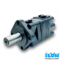 Preview: EPMSY-E 200 C RS P RAL7021 Hydraulic Motor 