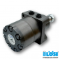 Preview: HW-S 470 T 2 Hydraulic Motor