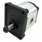 Preview: Gear pump CAP 22220032FG
