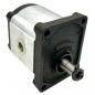 Preview: Gear pump CAP 21150032FG