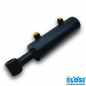 Preview: Hydraulic Cylinder DW60/30-100 with Swivel Eyes