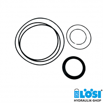 Dichtungssatz für Hydraulikmotor EPMV-S