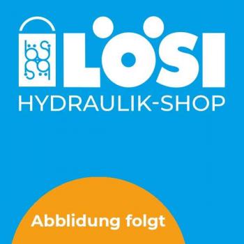 KPBT 250-1 E Senkbremsventil einfach EPMT