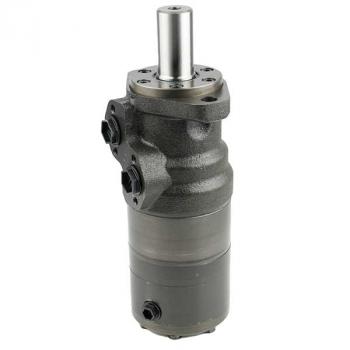 B/EPRM 250 CB Hydraulic Motor with integr. Brake