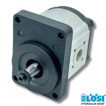 Gear pump CAP 22140172