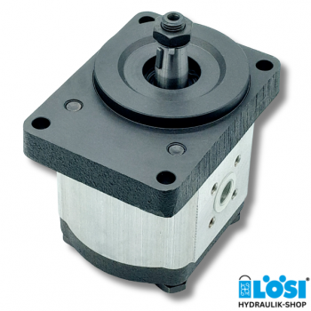 Gear pump CAP 22140172