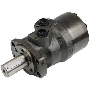 EPMH 200 CB Hydraulic Motor