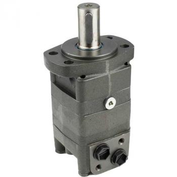 EPMS-F 250 C Hydr.aulikmotor