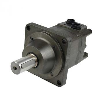 EPMS-W 100 C Hydraulic Motor