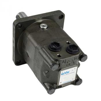 EPMS-W 100 C Hydraulic Motor