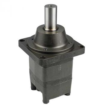 EPMS-W 100 C Hydraulic Motor