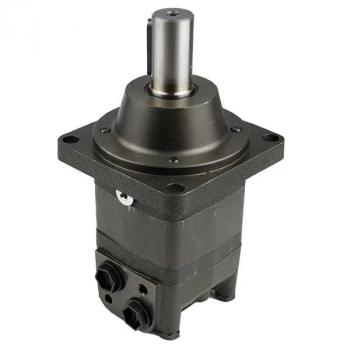 EPMS-W 100 C Hydraulic Motor
