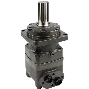 EPMT 250 SH Hydraulic Motor
