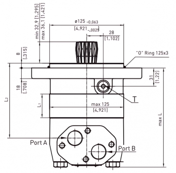 Preview: EPMT-S 160 RS Short Hydraulic Motor
