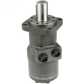 EPRML 250 C Hydraulikmotor