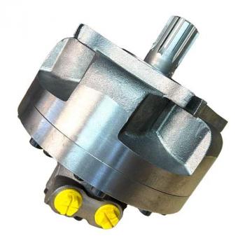 Radialkolbenmotor HCD2 350 A01 D40