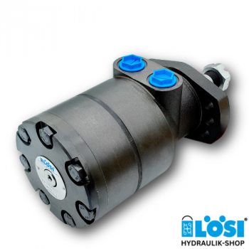 HW-F 300 R 2 Hydraulic motor