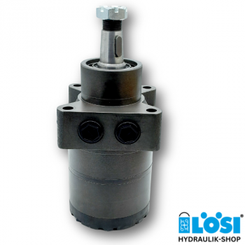 HW 300 R 2 Hydraulikmotor