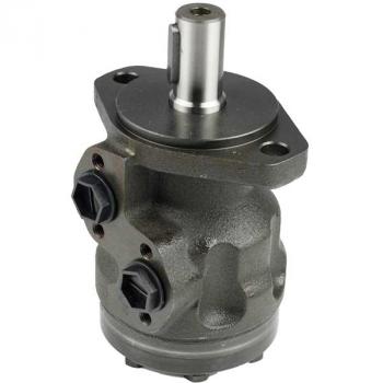 XMR 250 C D Hydraulic Motor