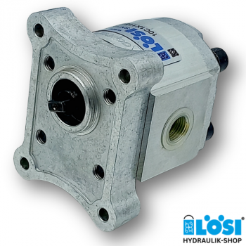 Gear pump CAP 10C1X115G