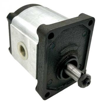Zahnradpumpe CAP 21120032FG
