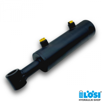 Hydraulic Cylinder DW60/30-100 with Swivel Eyes