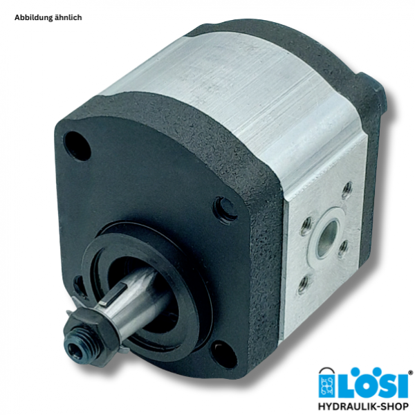 Gear pump CAP 21820190