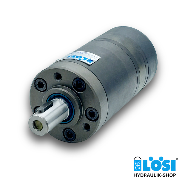 EPMM 20 CK RAL 9006 Hydraulic Motor