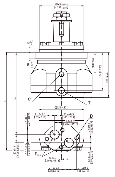 EPMT/B 250 C Hydraulic Motor with integr. Brake
