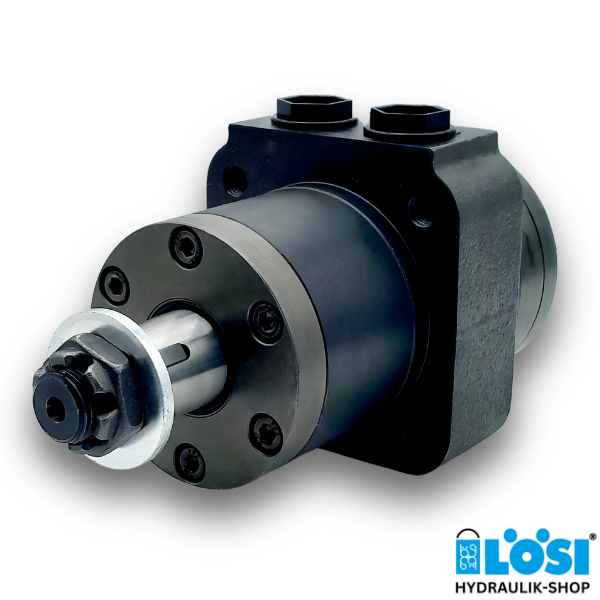 EPM-W-N 200 K D-01 RAL 9005 Hydraulic Motor