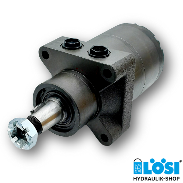 HW 300 R 2 Hydraulikmotor