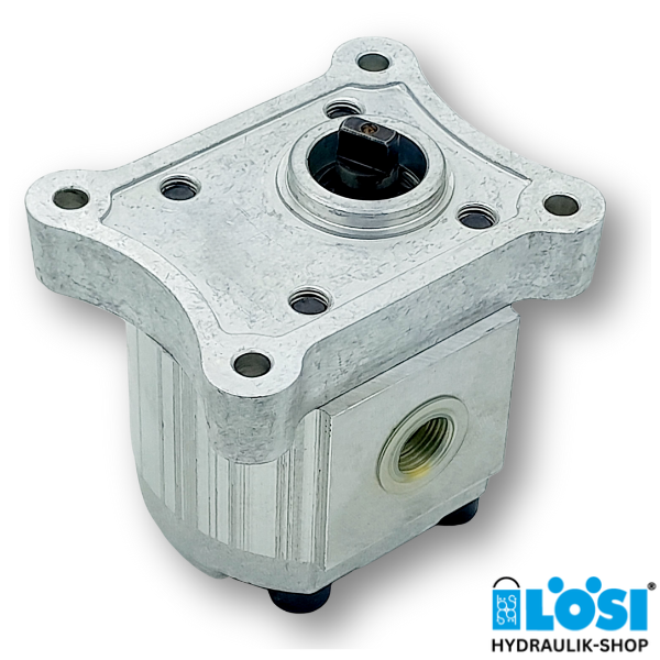 Gear pump CAP 10C1X115G