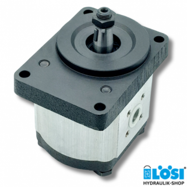 Hydraulic gear pump CAP 22250192