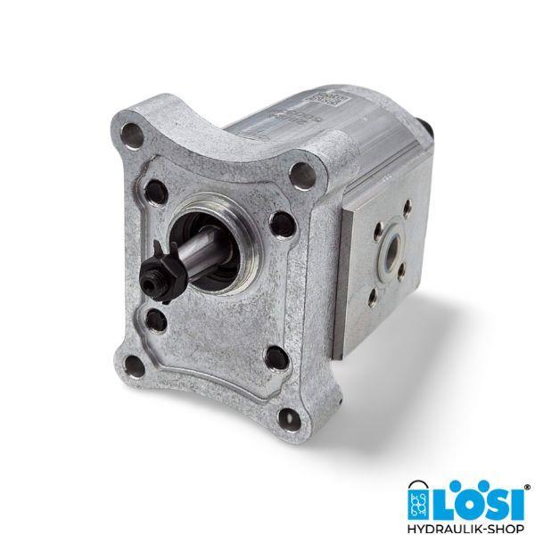 Gear pump CAP 11100052